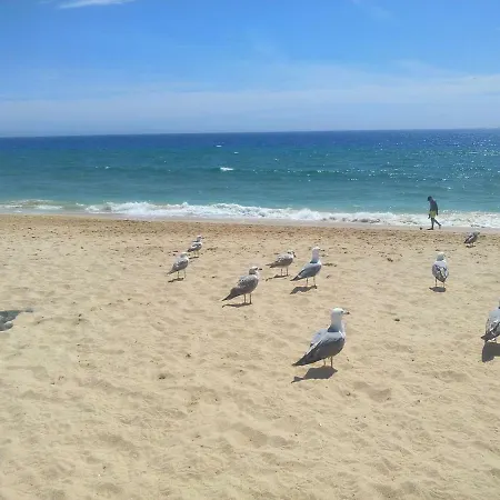 Algarve *